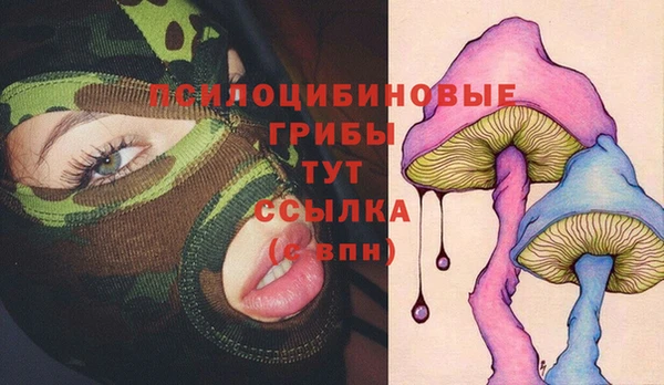 соль ск Магас