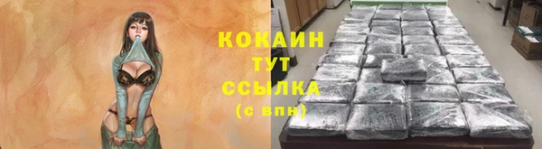 соль ск Магас
