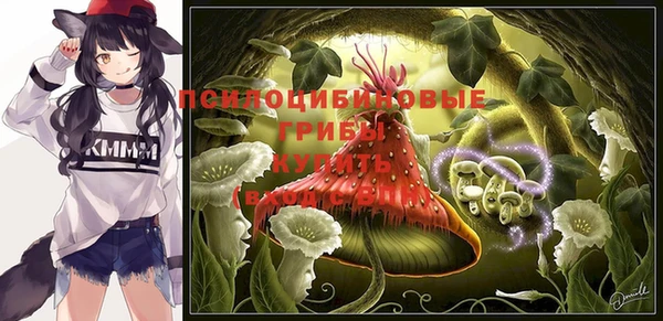 метадон Лихославль