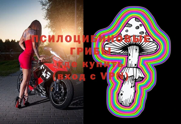 первитин Лиски